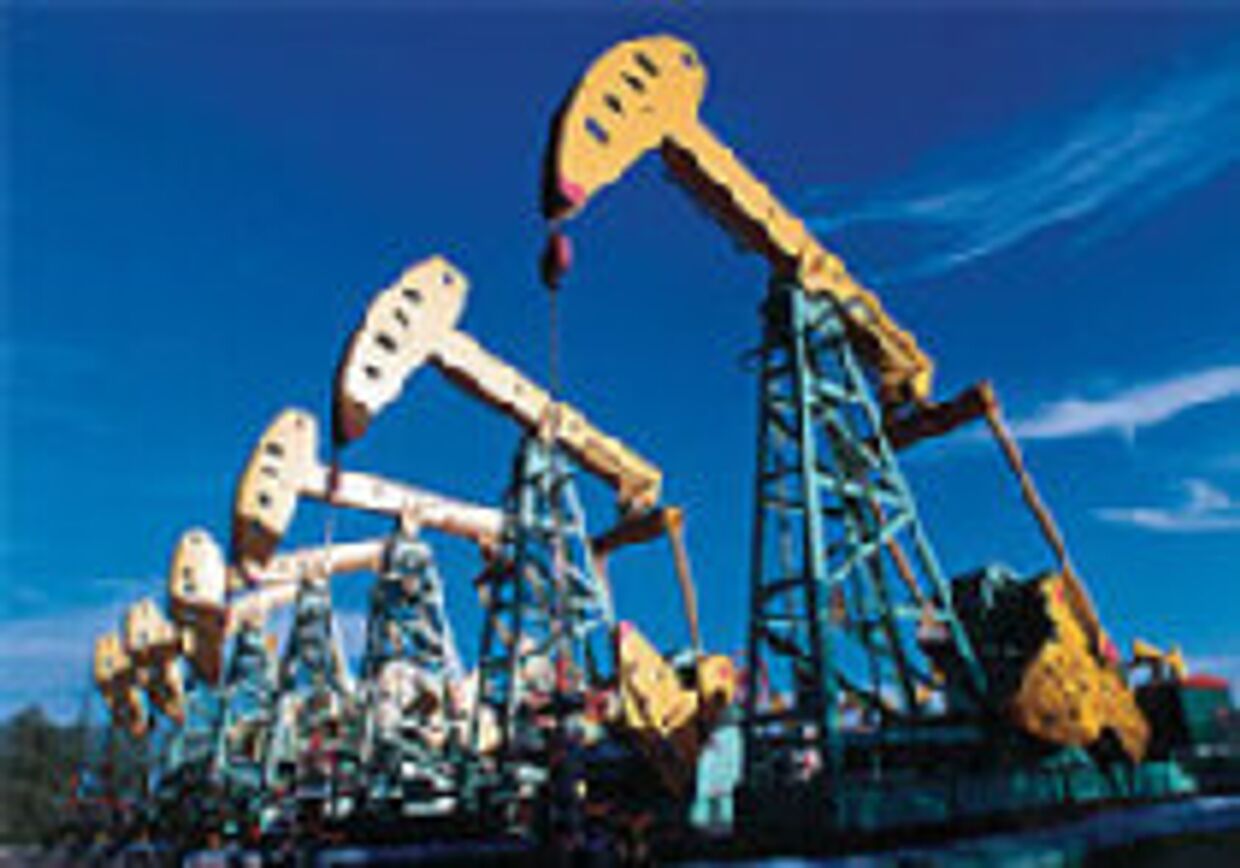 Нефтегазовые перспективы: поставщики будущего picture