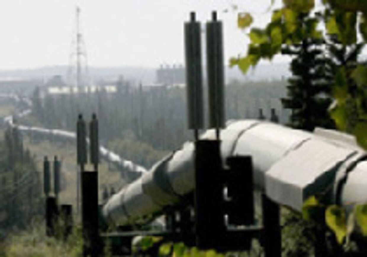 Россия и ЕС не достигли консенсуса по газовой проблеме picture