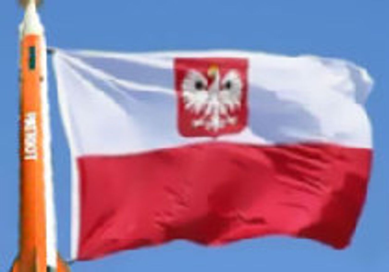 Польша хочет получить ракеты независимо от решения по ПРО picture