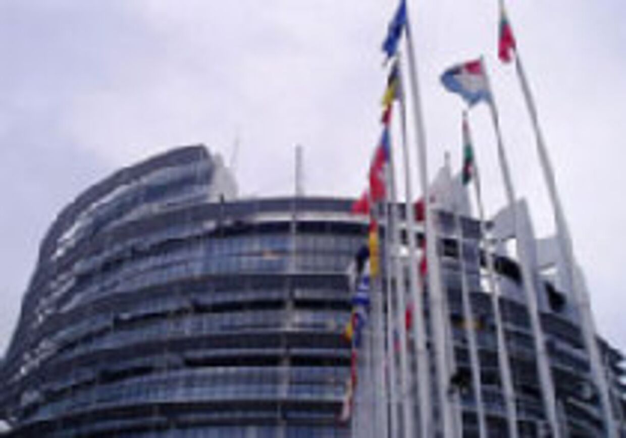 Выборы в европарламент нервируют евробюрократов picture