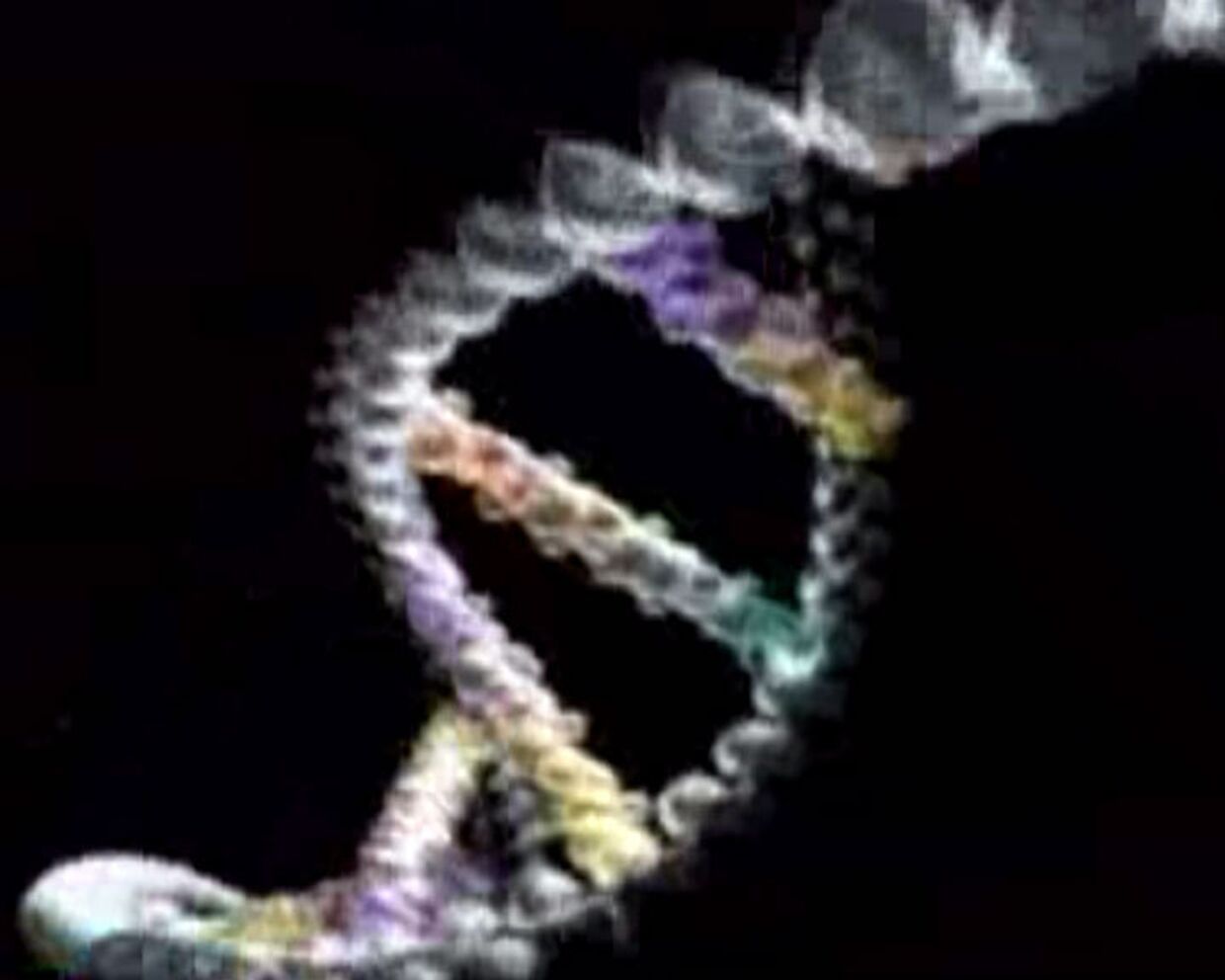 ИноСМИ - База ДНК