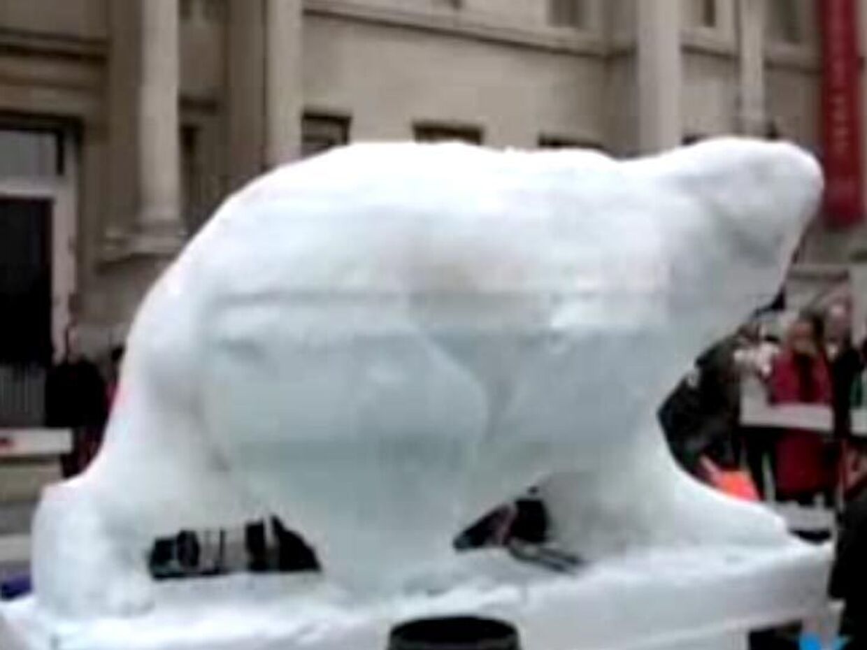 ИноСМИ__Ледяной медведь как символ глобального потепления