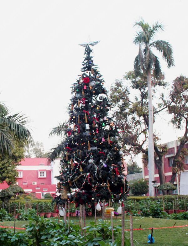 Рождественнская елка в Индии 