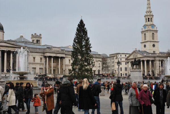Главная рождественская елка Великобритании, установленная на Трафальгарской площади Лондона