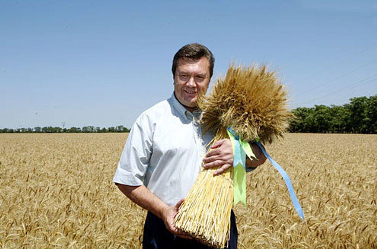 Лидер Партии регионов Виктор Янукович.