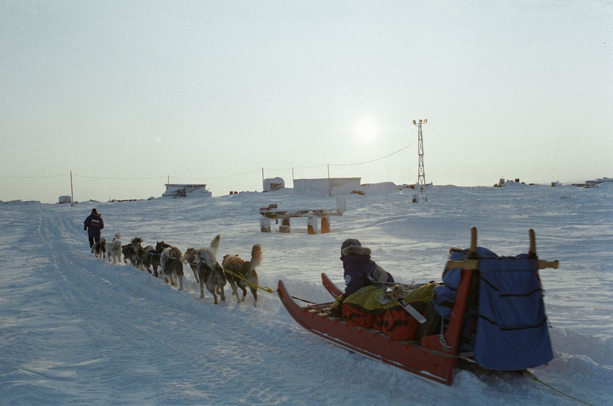 Участники  экспедиции едут на собачьих упряжках