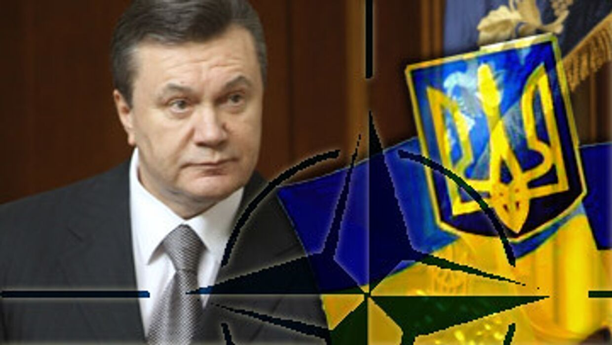 Янукович ликвидирует комиссию по НАТО