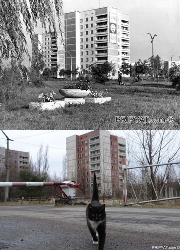 В городе Припять после аварии на Чернобыльской АЭС 