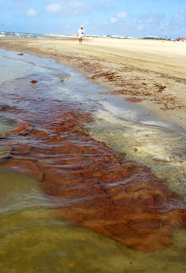 Очистка Мексиканского залива от нефти