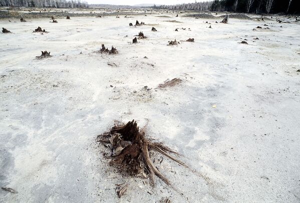 Последствия экологической катастрофы в Челябинской области