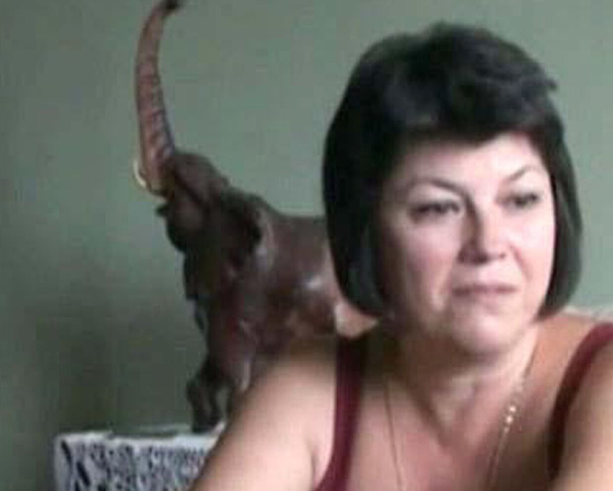 Мать задержанной в США Анны Чапман будет судиться с западными СМИ