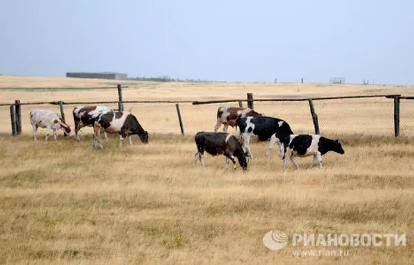 Засуха в Челябинской области