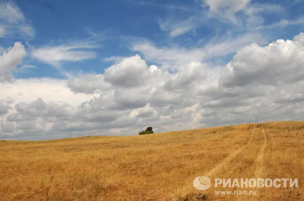 Засуха в Челябинской области