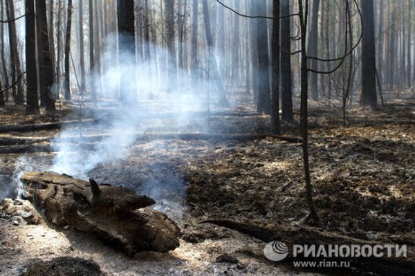 Тушение лесного пожара в Воротынском районе Нижегородской области