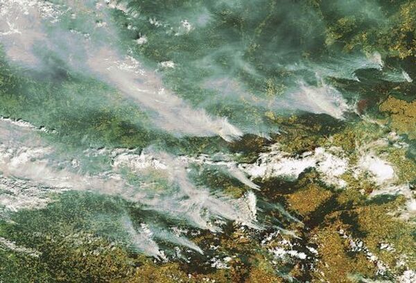 Лесные пожары на снимках из космоса
