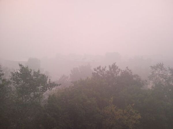 Московская область окутана дымом от лесных пожаров