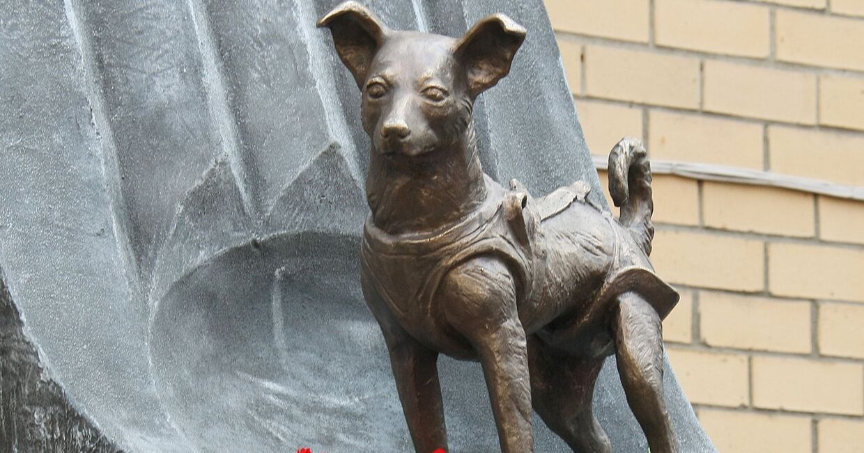 Открытие памятника собаке Лайке в Москве
