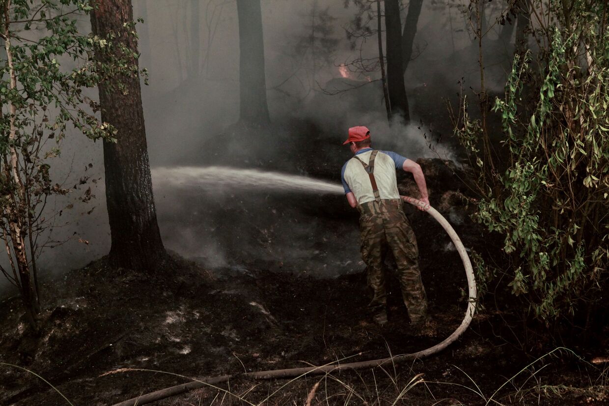 Лесные пожары в Московской и Рязанской областях