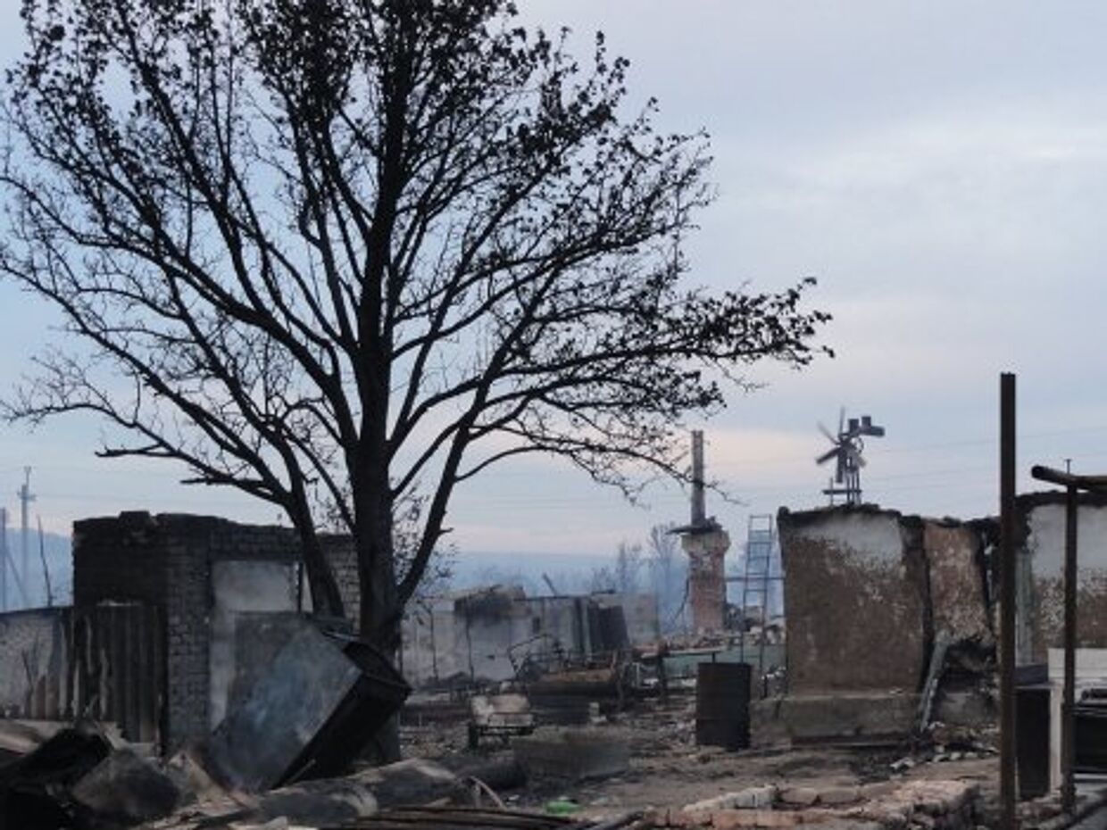 Последствия пожаров в Волгоградской области