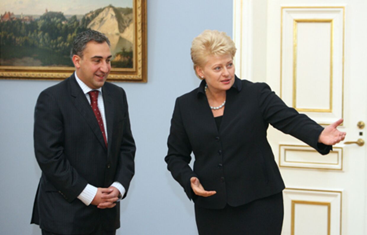 премьер-министр Грузии Николоз Гилаури на встрече с президентом Литвы Далей Грибаускайте