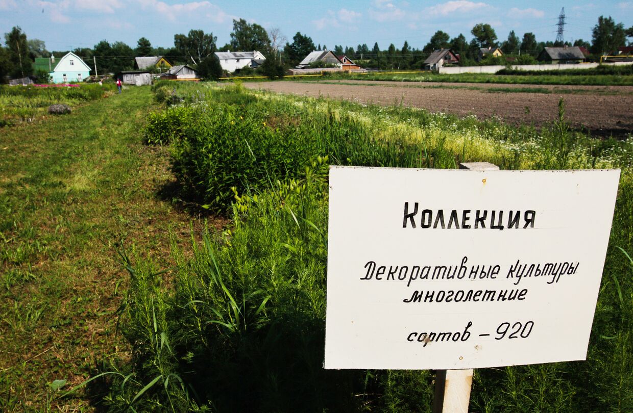 Суд рассмотрит апелляцию в споре о земле Павловской опытной станции Всероссийского института растениеводства