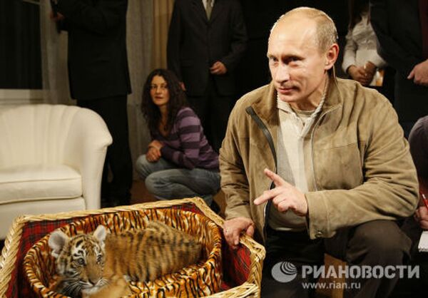 Владимир Путин познакомил журналистов с подаренным ему тигренком