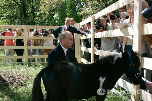В.Путин, С.Берлускони и пони президента России