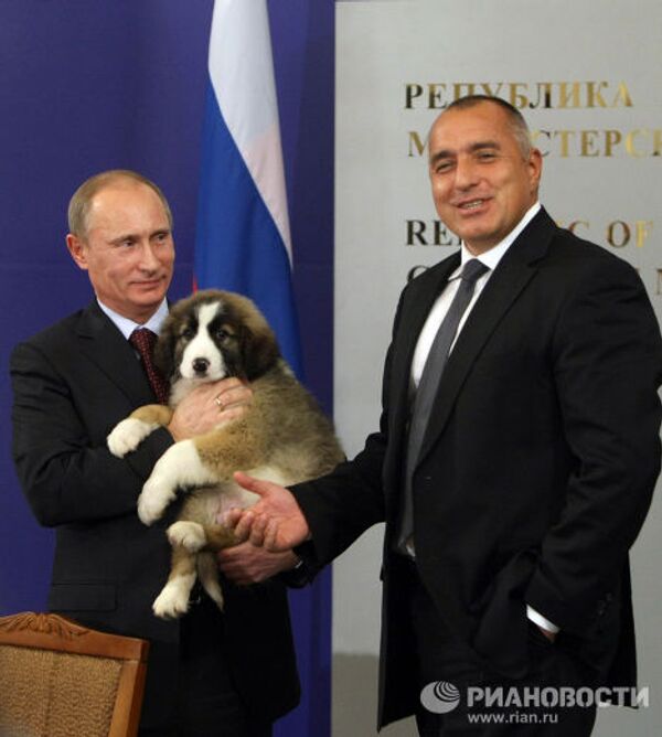 Болгарский премьер-министр подарил щенка Владимиру Путину
