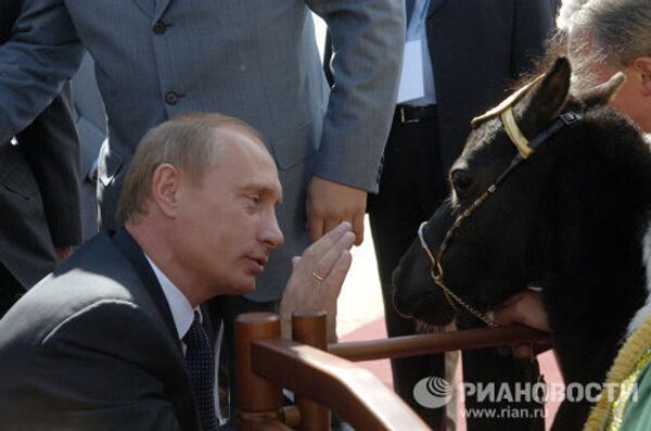Президент России Владимир Путин с мини-лошадкой по имени Вадик, подаренной ему в Казани