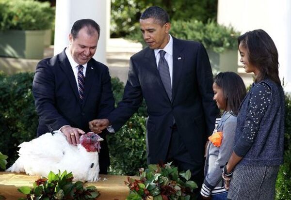 День Благодарения в США Президент США Барак Обама в соответствии с принятой на День благодарения традицией помиловал двух индеек