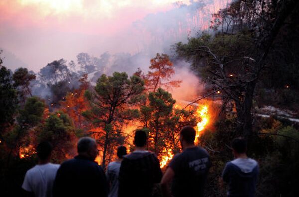 Крупный лесной пожар на севере Израиля