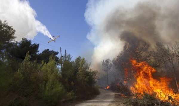 Крупный лесной пожар на севере Израиля