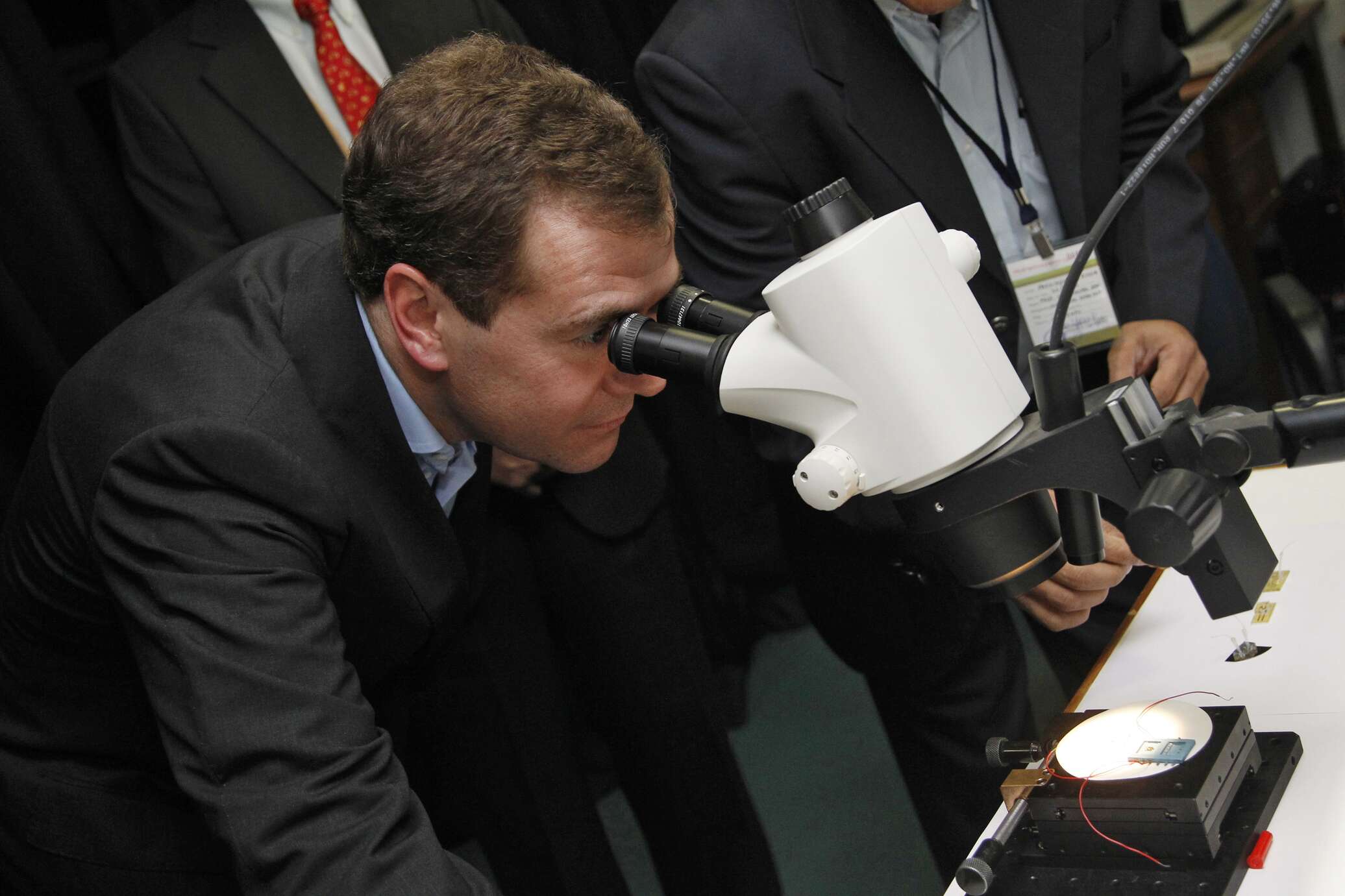 Медведев и микроскоп
