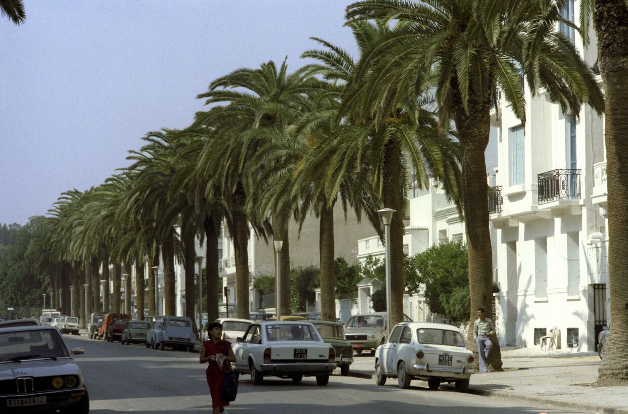 Вид на улицах города Туниса