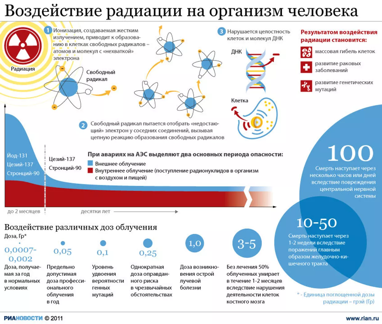 Воздействие радиации на организм человека Воздействие радиации на организм человека