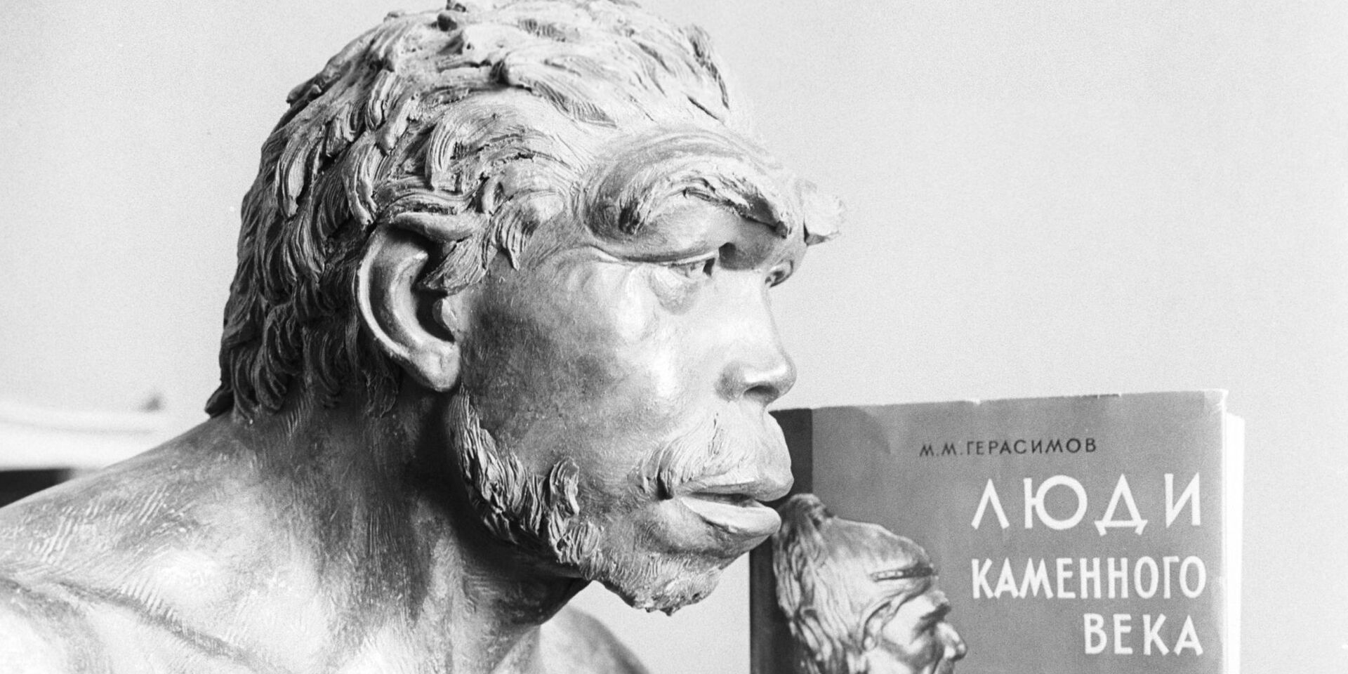 Скульптурный портрет неандертальца, который жил на территории Франции - ИноСМИ, 1920, 13.09.2020