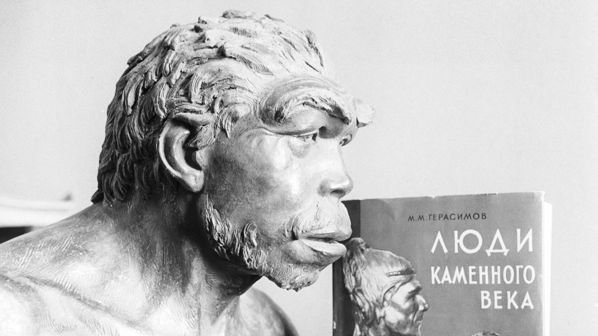 Скульптурный портрет неандертальца, который жил на территории Франции - ИноСМИ, 1920, 03.05.2019