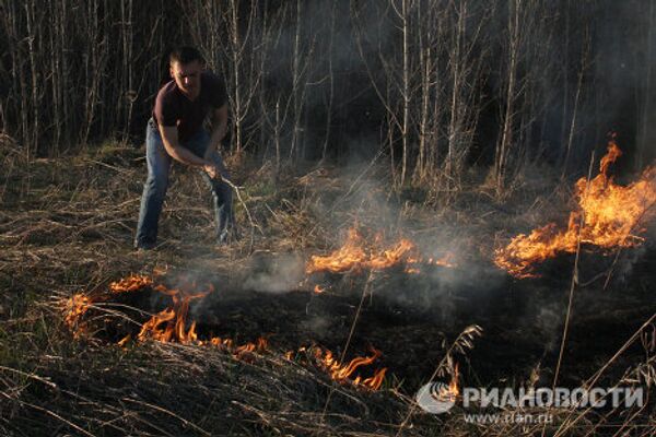 Лесной пожар в Омской области