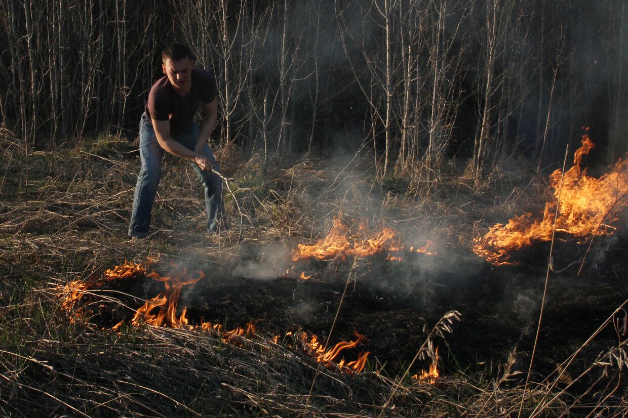 Лесной пожар в Омской области
