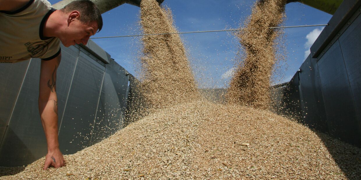 Уборка пшеницы на полях сельхозпредприятия Долгов и компания