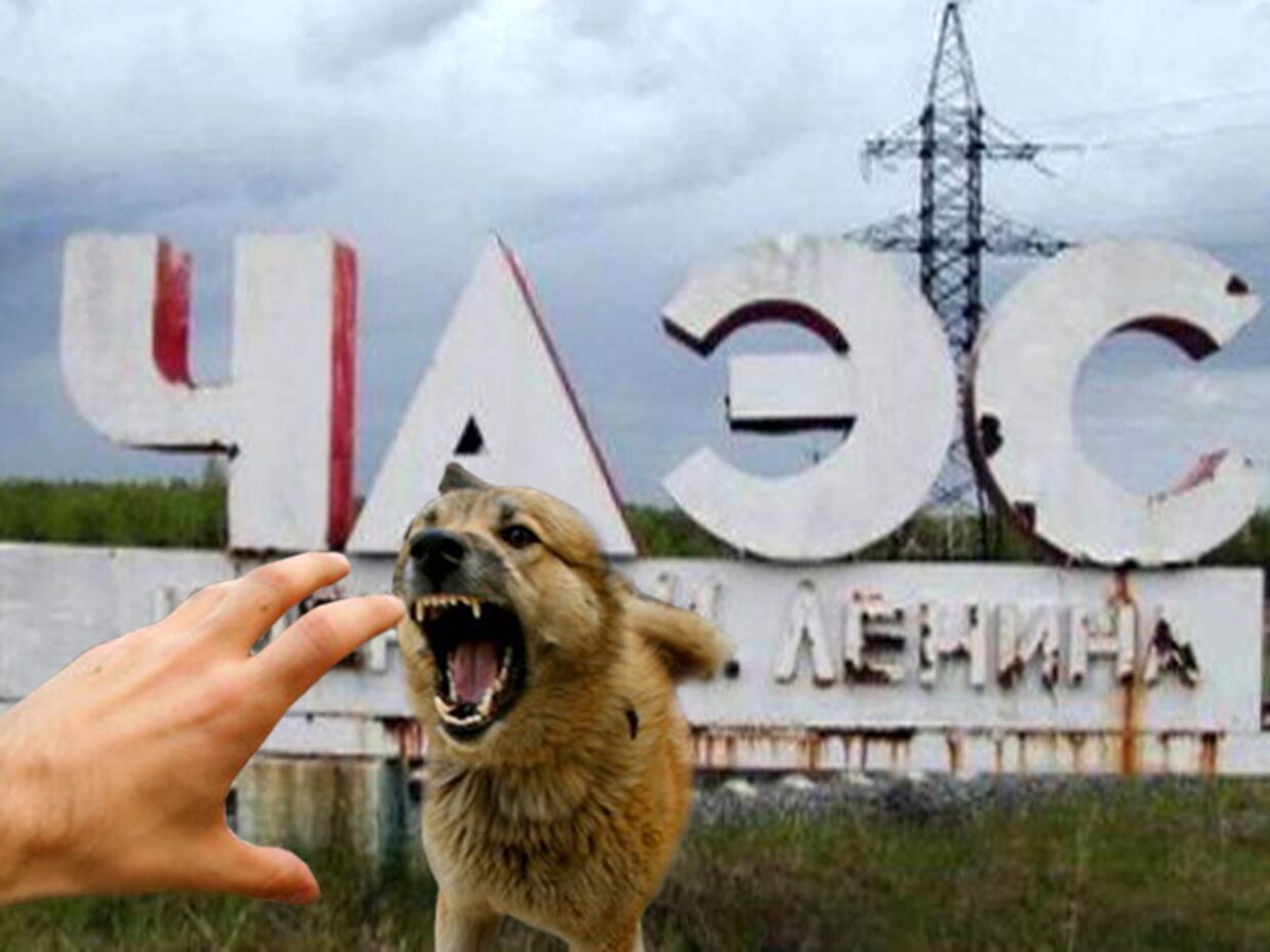 ИноСМИ__Чернобыльскую зону закрыли для туристов