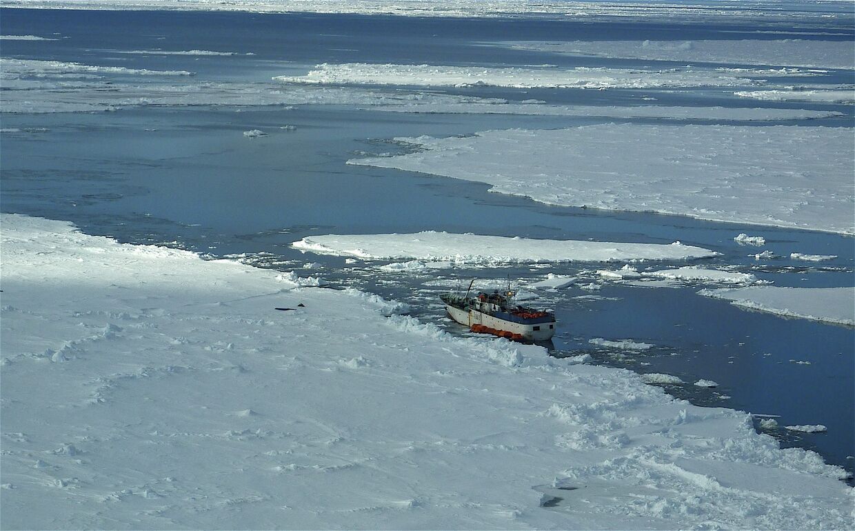 Российское рыболовное судно Спарта, терпящее бедствие у берегов Антарктиды