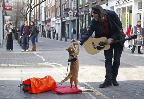 Уличный музыкант Джеймс Боуэн со своим котом Бобом в лондонском районе Ковент Гарден