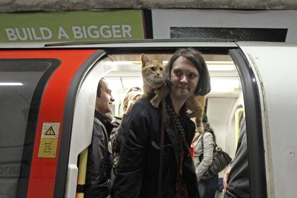 Уличный музыкант Джеймс Боуэн со своим котом Бобом в лондонском метро