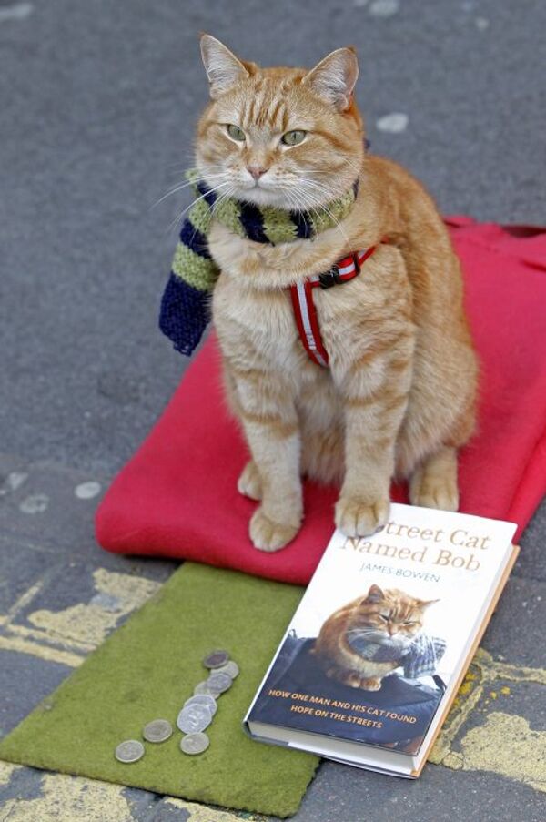 Кот Боб сидит рядом с книгой своейго хозяина бездомного Джеймса Боуэна на улице Лонона