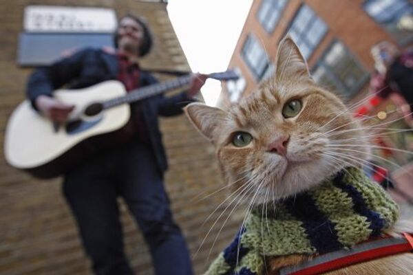 Уличный музыкант Джеймс Боуэн со своим котом Бобом на улице Лондона