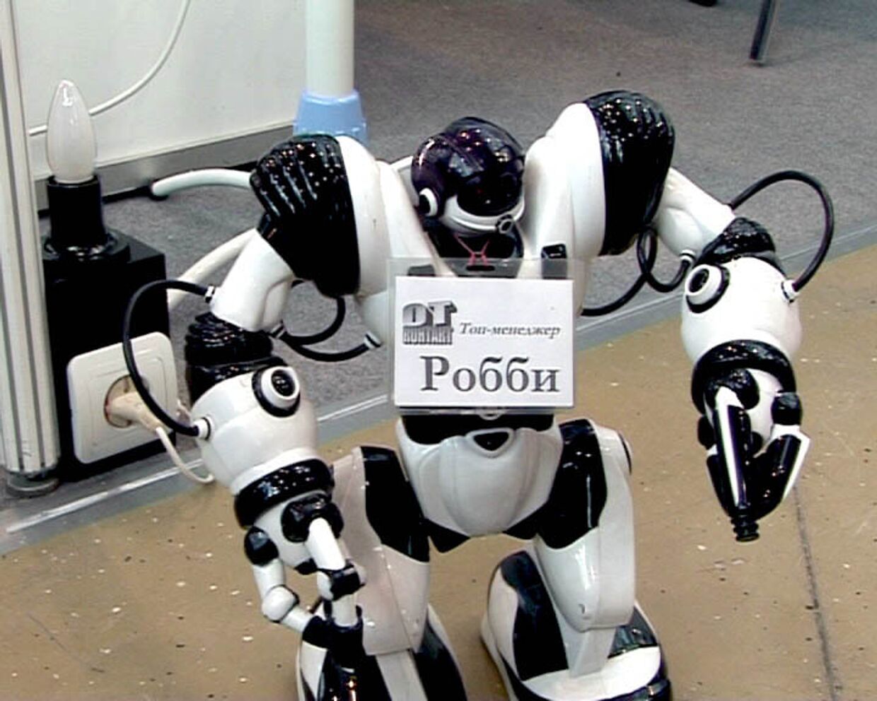 Общительный робот Роби. Новинка российских разработчиков
