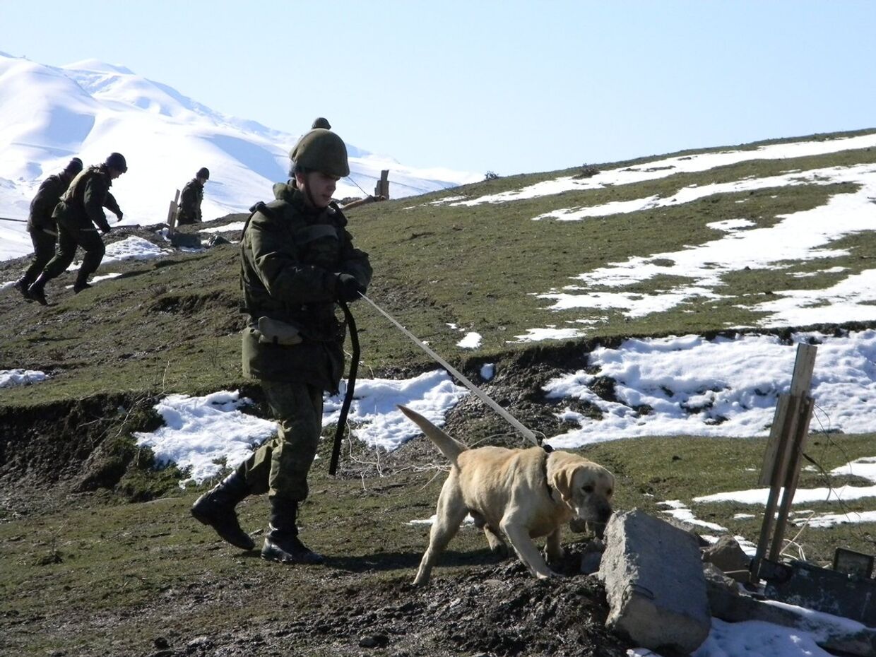Саперы 201-й российской военной базы в Таджикистане ведут разминирвание учебно-тренировочного полигона Ляур