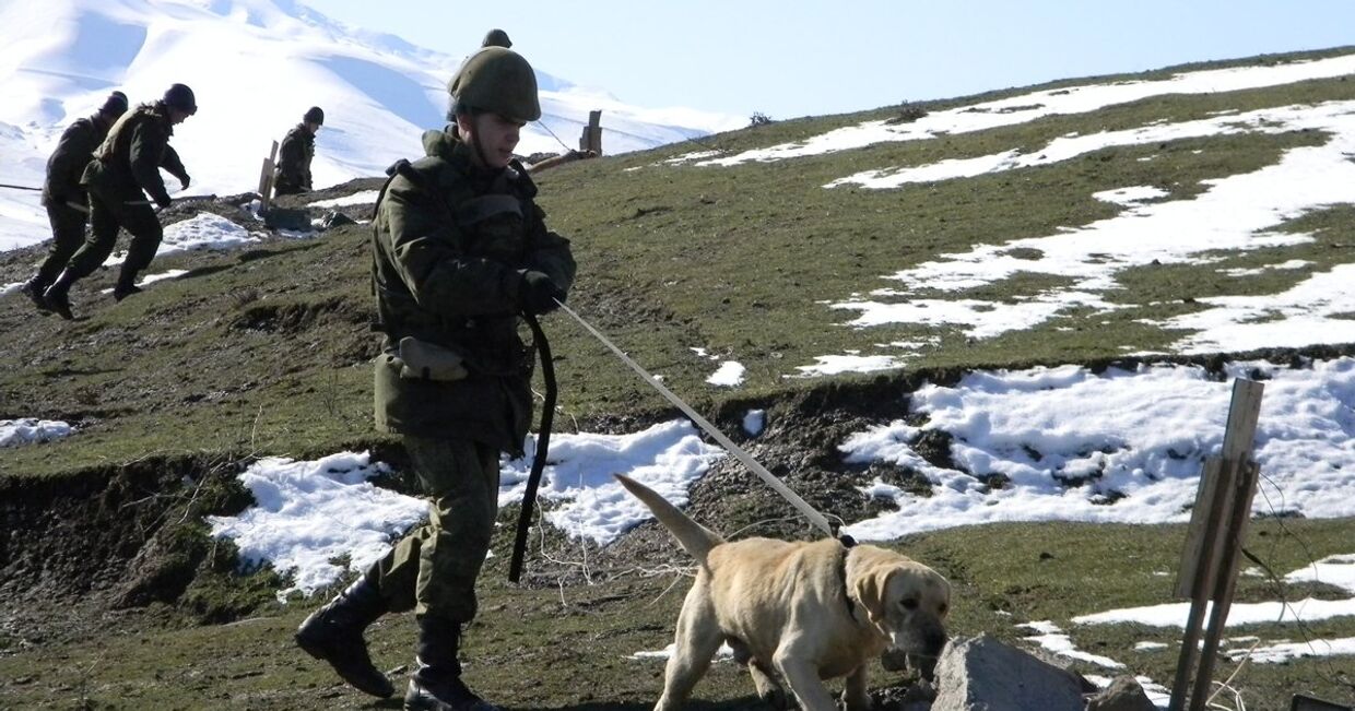 Саперы 201-й российской военной базы в Таджикистане ведут разминирвание учебно-тренировочного полигона Ляур