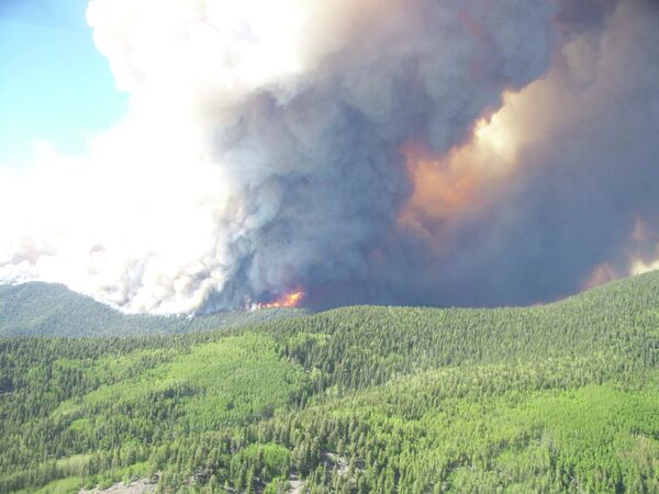 Лесные пожары в американском штате Нью-Мексико